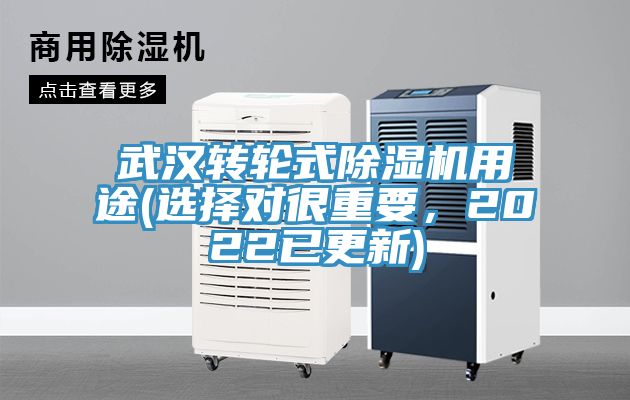 武漢轉輪式好色先生在线播放用途(選擇對很重要，2022已更新)