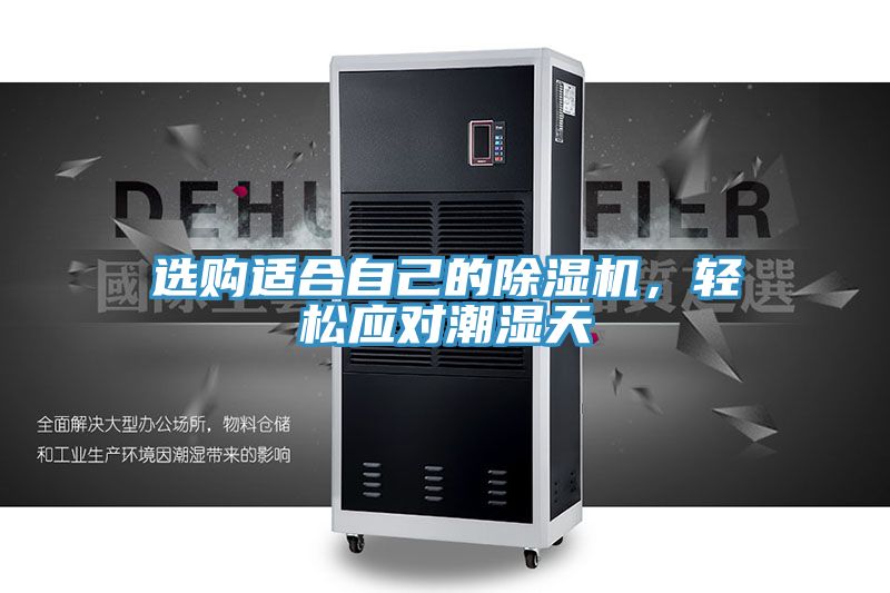 選購適合自己的好色先生在线播放，輕鬆應對潮濕天