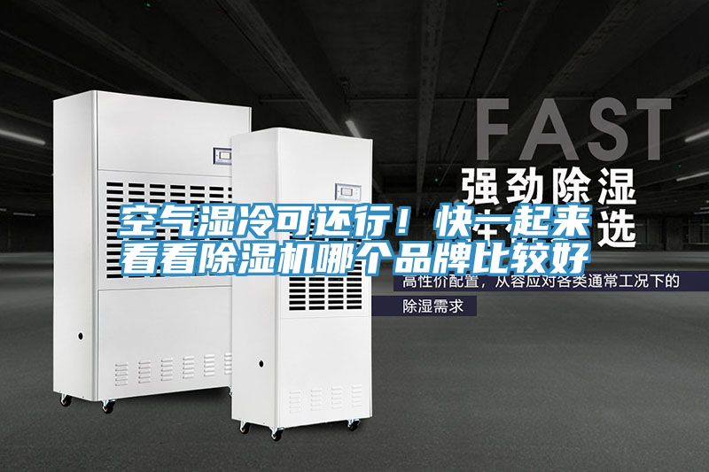 空氣濕冷可還行！快一起來看看好色先生在线播放哪個品牌比較好