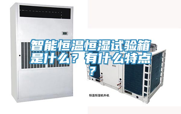智能恒溫恒濕試驗箱是什麽？有什麽特點？