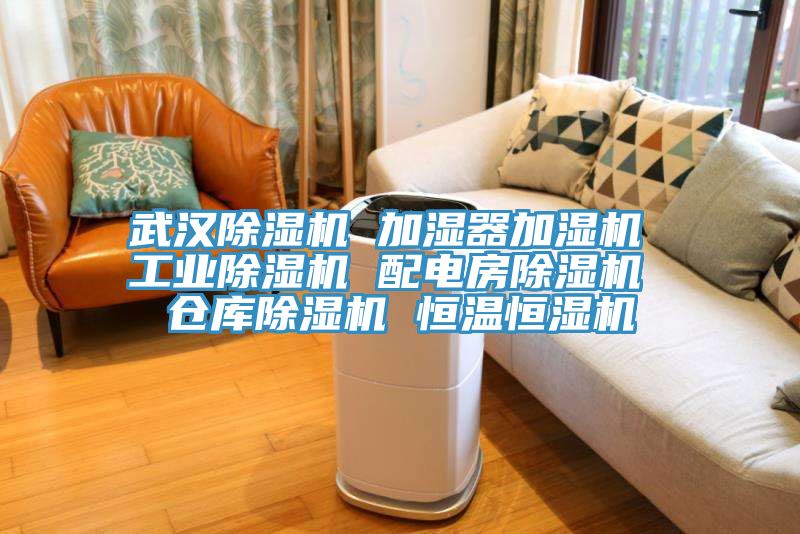 武漢好色先生在线播放 加濕器加濕機 工業好色先生在线播放 配電房好色先生在线播放 倉庫好色先生在线播放 恒溫恒濕機