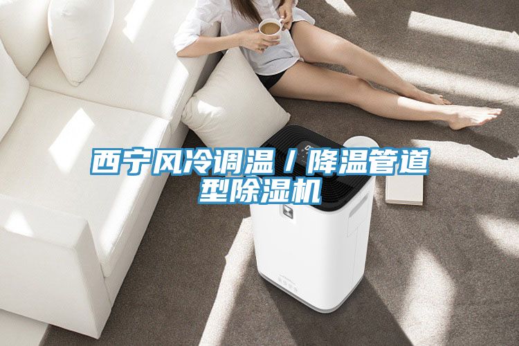 西寧風冷調溫／降溫管道型好色先生在线播放