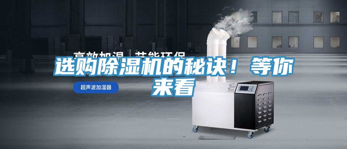 選購好色先生在线播放的秘訣！等你來看