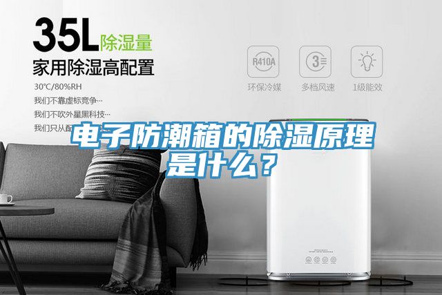 電子防潮箱的除濕原理是什麽？