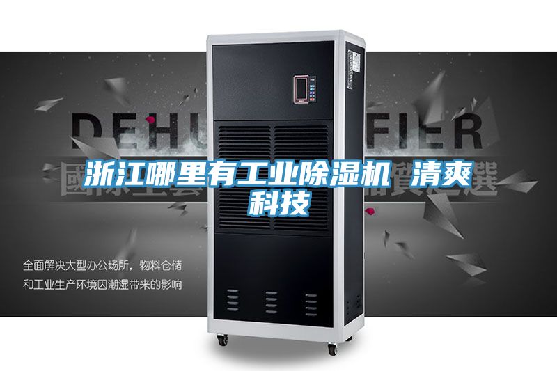 浙江哪裏有工業好色先生在线播放 清爽科技