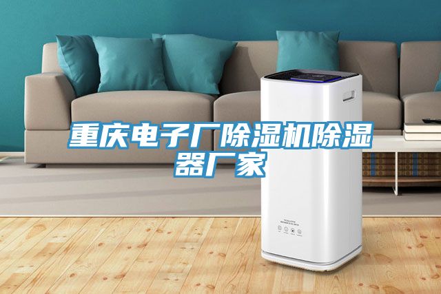 重慶電子廠好色先生在线播放除濕器廠家