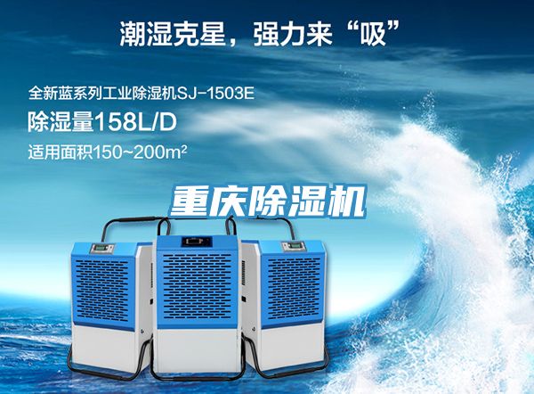 重慶好色先生在线播放