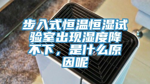 步入式恒溫恒濕試驗室出現濕度降不下，是什麽原因呢