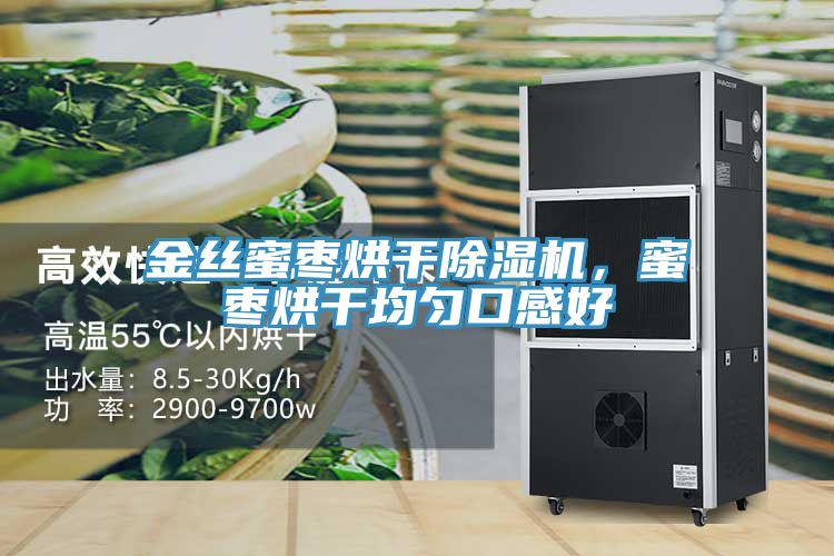 金絲蜜棗烘幹好色先生在线播放，蜜棗烘幹均勻口感好