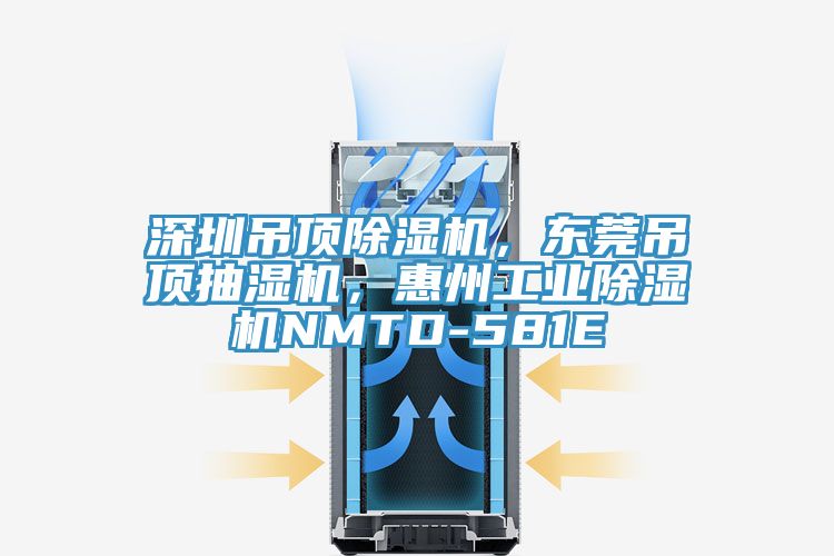 深圳吊頂好色先生在线播放，東莞吊頂抽濕機，惠州工業好色先生在线播放NMTD-581E