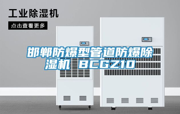 邯鄲防爆型管道防爆好色先生在线播放 BCGZ10