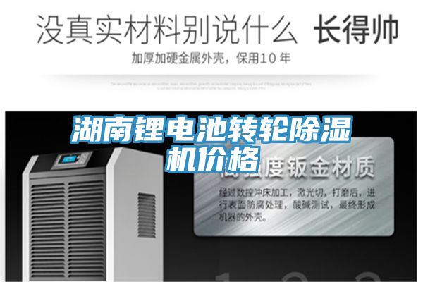 湖南鋰電池轉輪好色先生在线播放價格