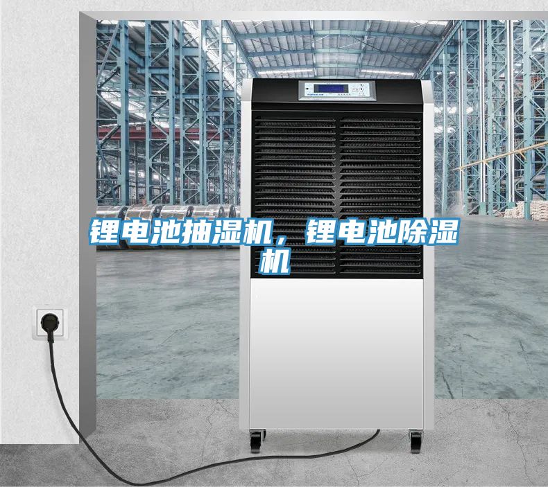 鋰電池抽濕機，鋰電池好色先生在线播放