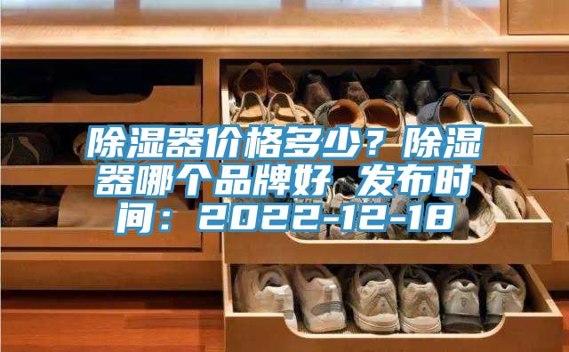除濕器價格多少？除濕器哪個品牌好 發布時間：2022-12-18