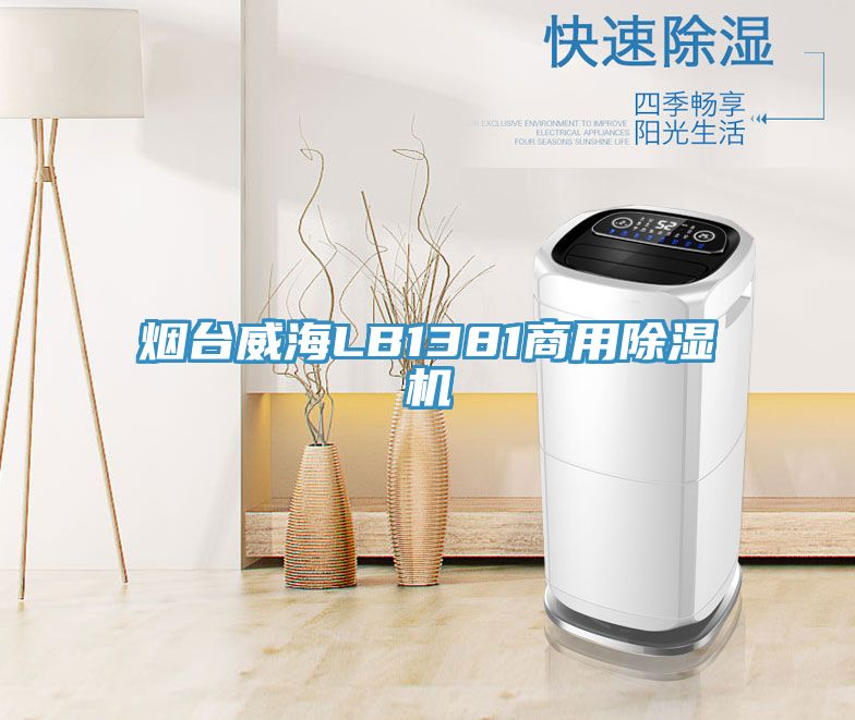 煙台威海LB1381商用好色先生在线播放