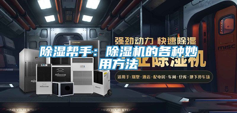 除濕幫手：好色先生在线播放的各種妙用方法