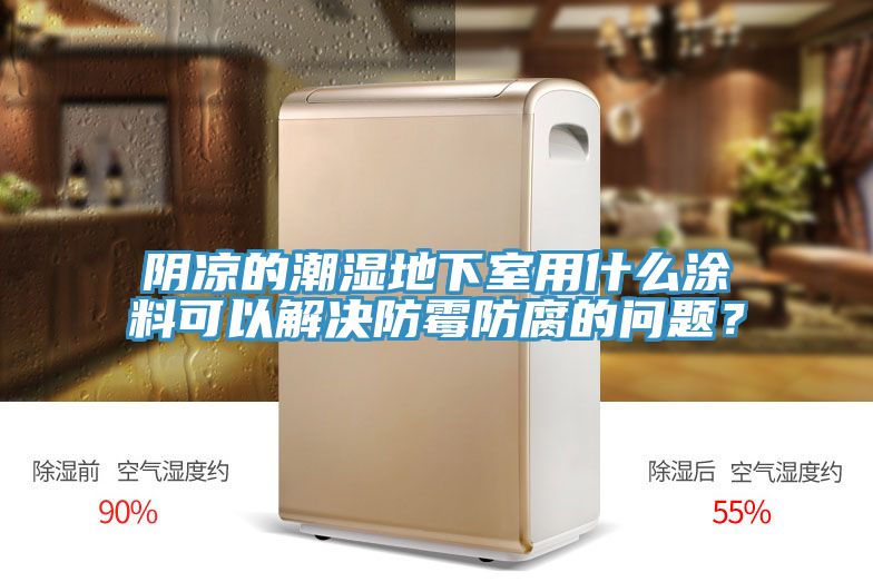 陰涼的潮濕地下室用什麽塗料可以解決防黴防腐的問題？