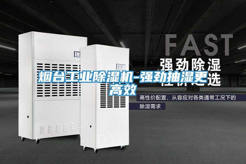 煙台工業好色先生在线播放-強勁抽濕更高效