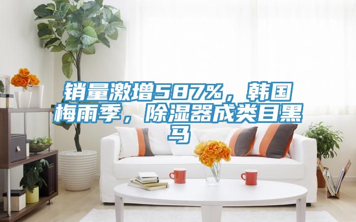 銷量激增587%，韓國梅雨季，除濕器成類目黑馬
