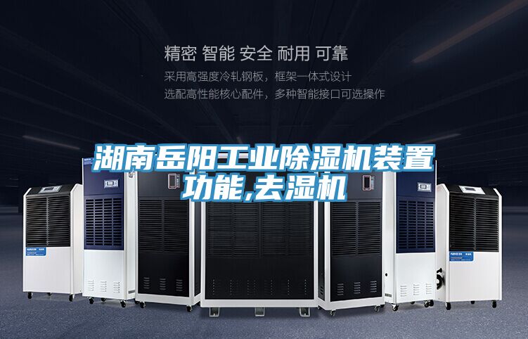 湖南嶽陽工業好色先生在线播放裝置功能,去濕機