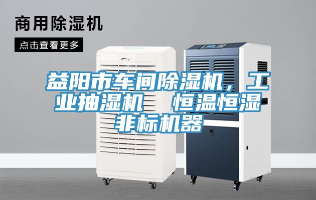 益陽市車間好色先生在线播放，工業抽濕機  恒溫恒濕非標機器