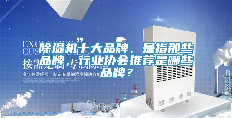 好色先生在线播放十大品牌，是指那些品牌，行業協會推薦是哪些品牌？