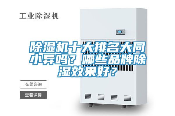 好色先生在线播放十大排名大同小異嗎？哪些品牌除濕效果好？