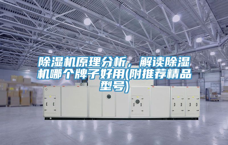 好色先生在线播放原理分析，解讀好色先生在线播放哪個牌子好用(附推薦精品型號)