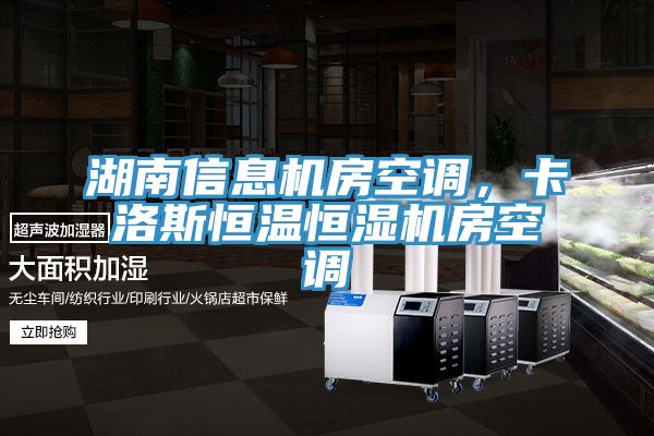 湖南信息機房空調，卡洛斯恒溫恒濕機房空調