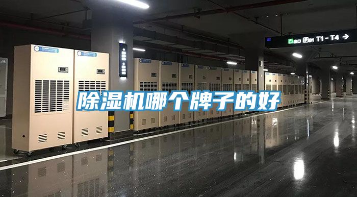 好色先生在线播放哪個牌子的好