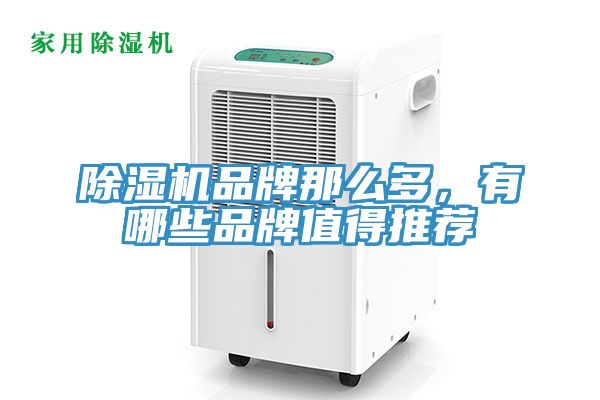 好色先生在线播放品牌那麽多，有哪些品牌值得推薦