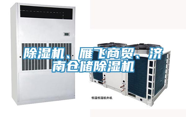 好色先生在线播放、雁飛商貿、濟南倉儲好色先生在线播放