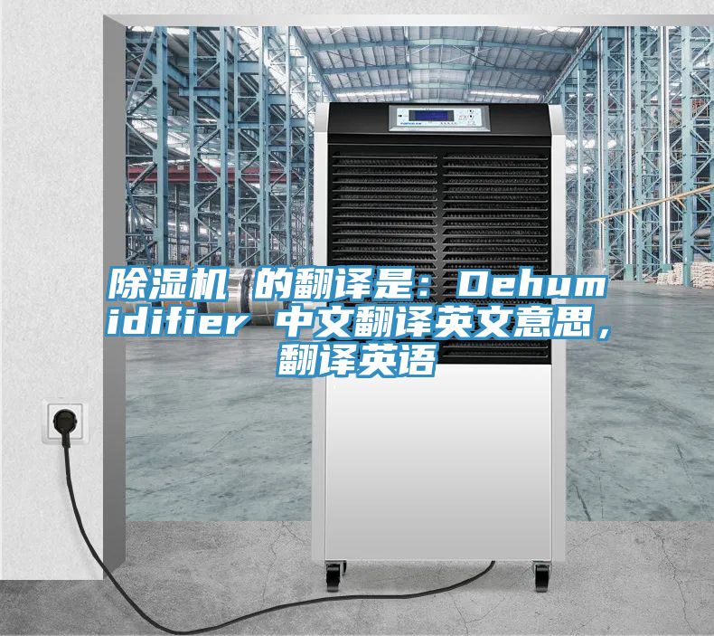 好色先生在线播放 的翻譯是：Dehumidifier 中文翻譯英文意思，翻譯英語