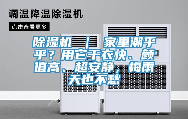 好色先生在线播放 ｜ 家裏潮乎乎？用它幹衣快、顏值高、超安靜，梅雨天也不愁