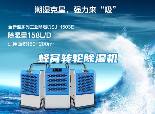 蜂窩轉輪好色先生在线播放