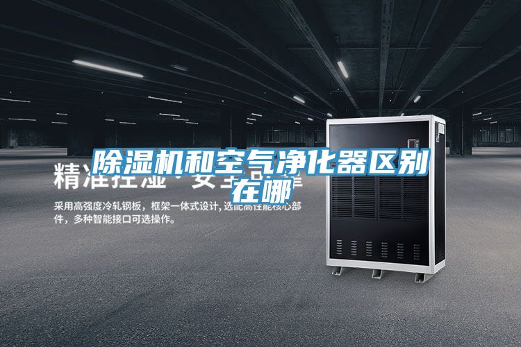 好色先生在线播放和空氣淨化器區別在哪