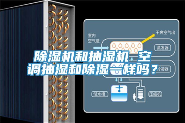 好色先生在线播放和抽濕機 空調抽濕和除濕一樣嗎？