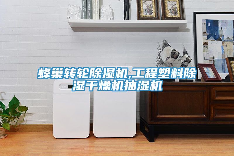 蜂巢轉輪好色先生在线播放,工程塑料除濕幹燥機抽濕機