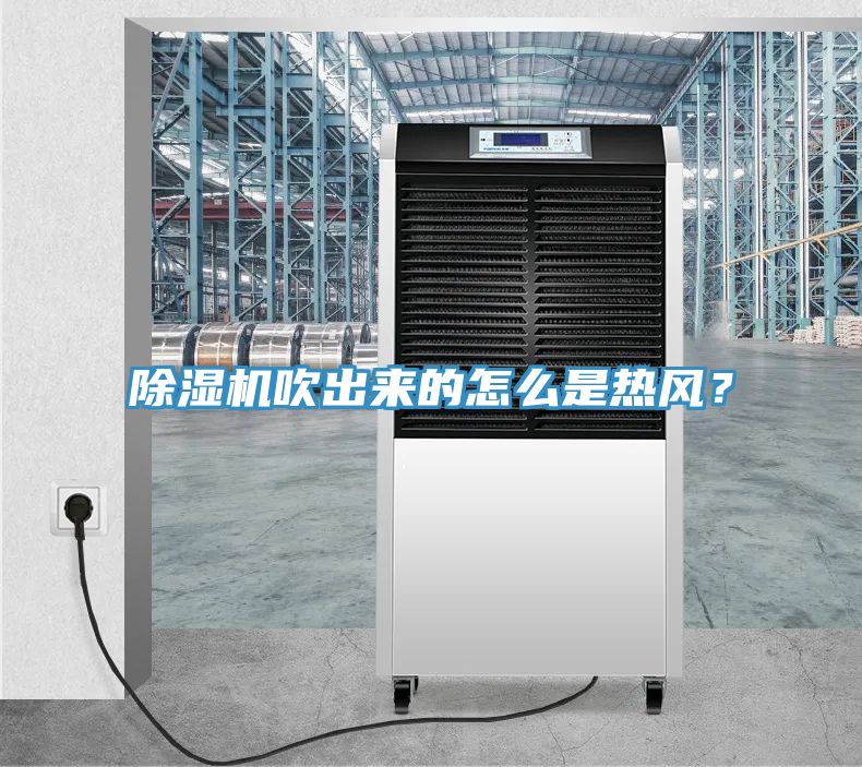 好色先生在线播放吹出來的怎麽是熱風？