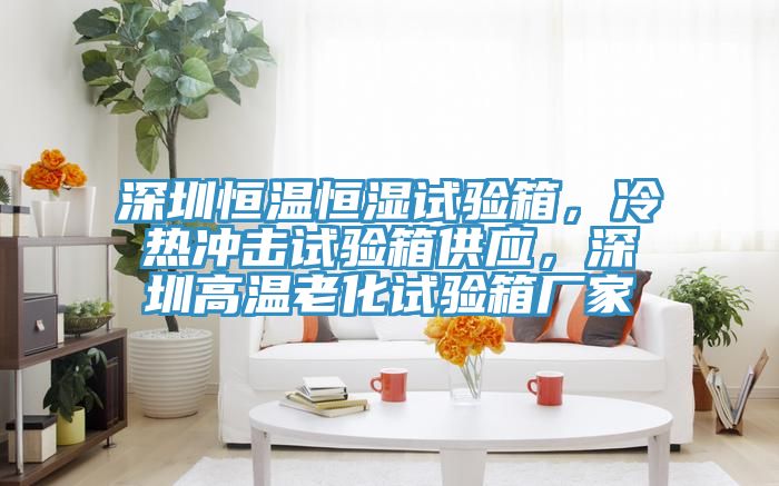 深圳恒溫恒濕試驗箱，冷熱衝擊試驗箱供應，深圳高溫老化試驗箱廠家