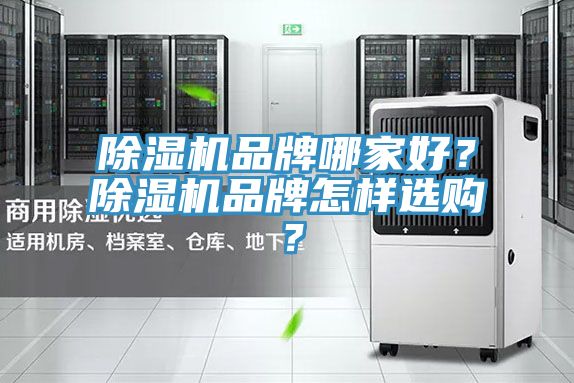 好色先生在线播放品牌哪家好？好色先生在线播放品牌怎樣選購？