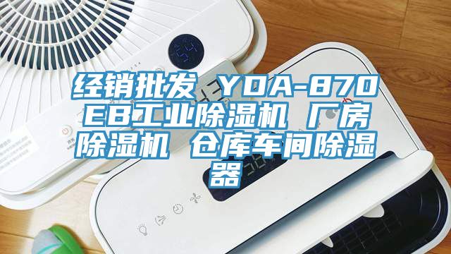 經銷批發 YDA-870EB工業好色先生在线播放 廠房好色先生在线播放 倉庫車間除濕器