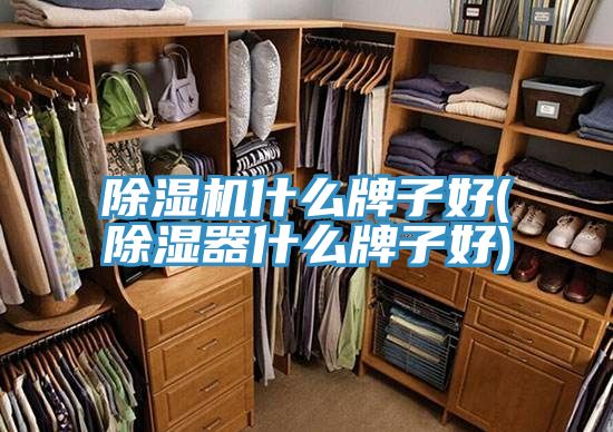 好色先生在线播放什麽牌子好(除濕器什麽牌子好)