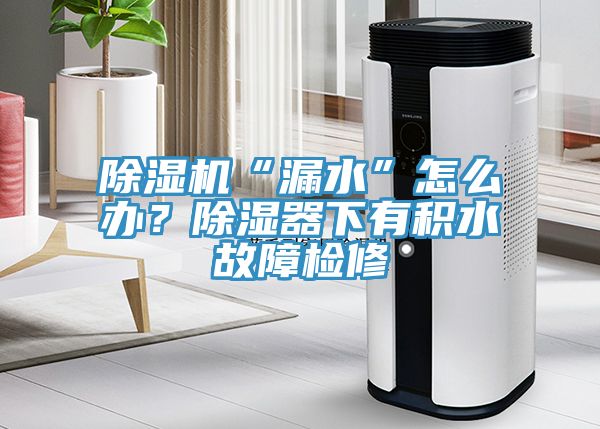 好色先生在线播放“漏水”怎麽辦？除濕器下有積水故障檢修