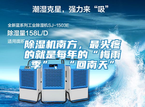 好色先生在线播放南方，最頭疼的就是每年的“梅雨季”、“回南天”