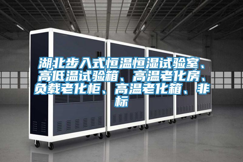 湖北步入式恒溫恒濕試驗室、高低溫試驗箱、高溫老化房、負載老化櫃、高溫老化箱、非標