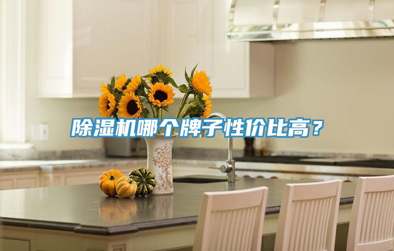 好色先生在线播放哪個牌子性價比高？