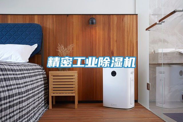 精密工業好色先生在线播放