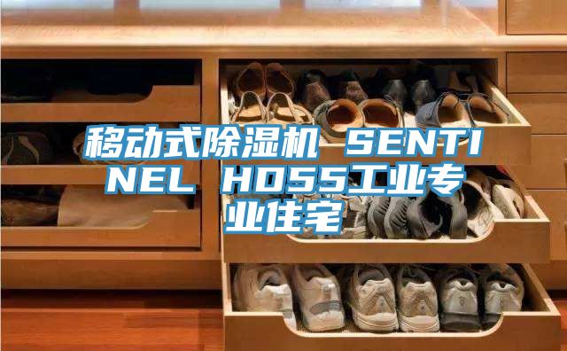 移動式好色先生在线播放 SENTINEL HD55工業專業住宅