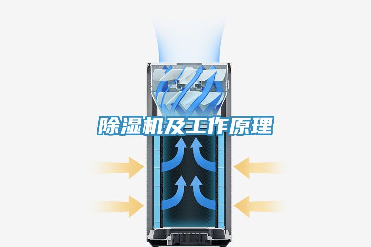 好色先生在线播放及工作原理